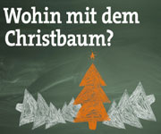 Wohin mit dem Christbaum? Kostenlose Abgabe bei den Münchner Wertstoffhöfen, extra Christbaum-Sammelstellen an verschiedenen Schulen ab 07.01.2021